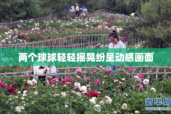 两个球球轻轻摇晃纷呈动感画面