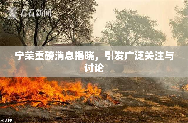 宁荣重磅消息揭晓，引发广泛关注与讨论