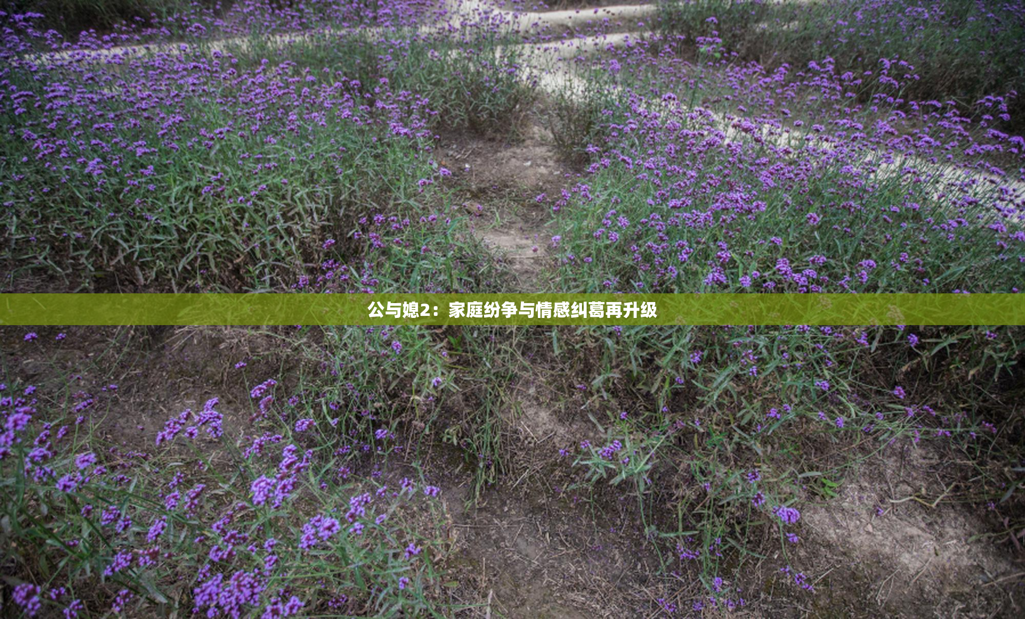 公与媳2：家庭纷争与情感纠葛再升级
