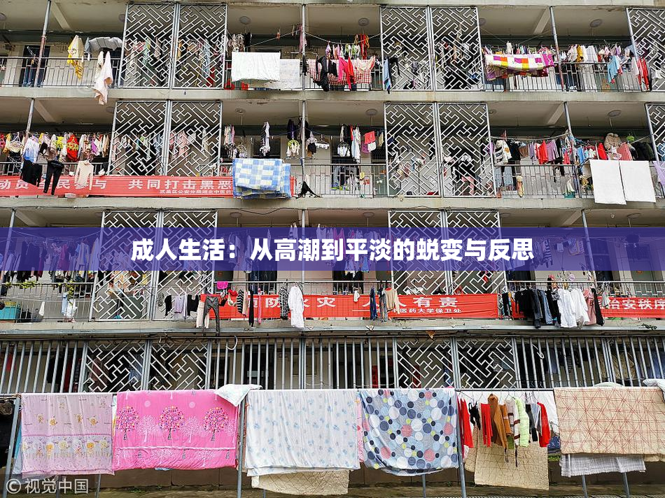 成人生活：从高潮到平淡的蜕变与反思