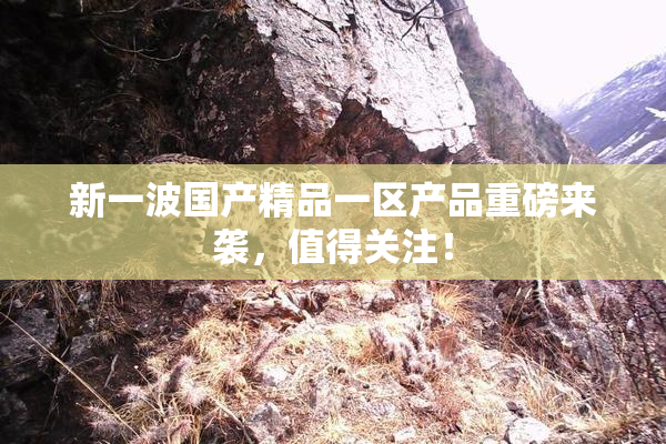 新一波国产精品一区产品重磅来袭，值得关注！
