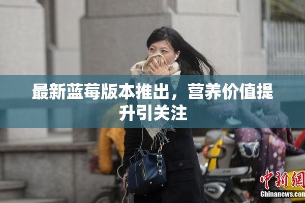 最新蓝莓版本推出，营养价值提升引关注