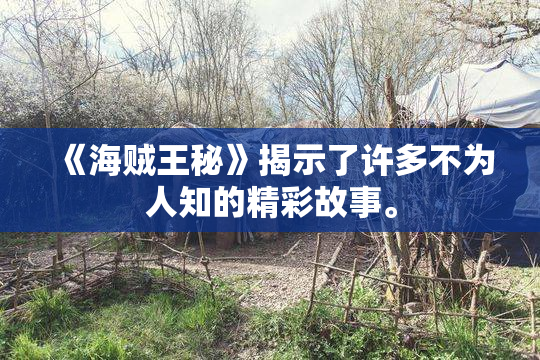 《海贼王秘》揭示了许多不为人知的精彩故事。
