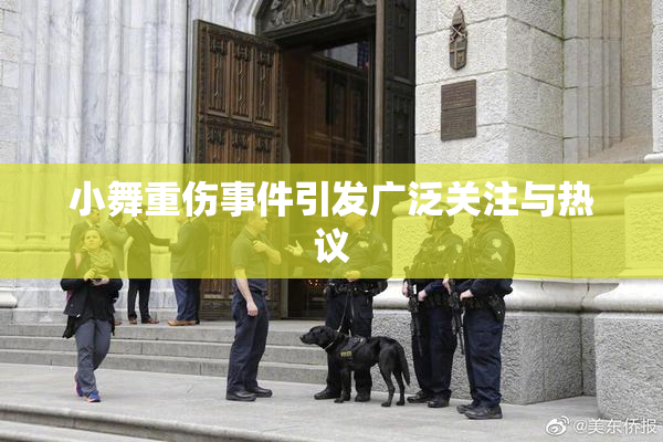 小舞重伤事件引发广泛关注与热议