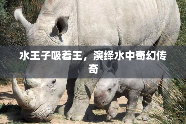 水王子吸着王，演绎水中奇幻传奇