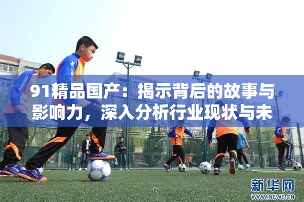 91精品国产：揭示背后的故事与影响力，深入分析行业现状与未来趋势