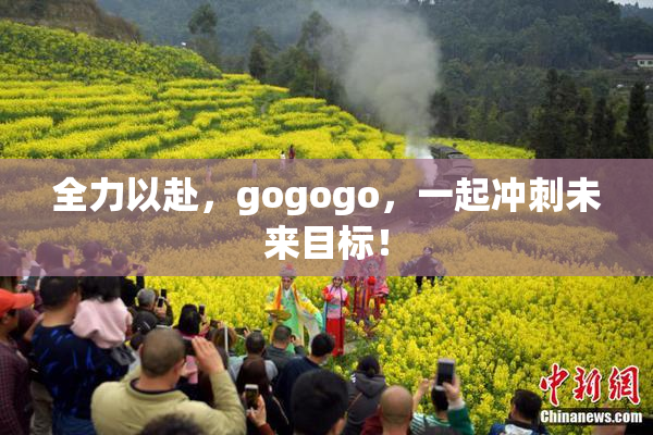 全力以赴，gogogo，一起冲刺未来目标！