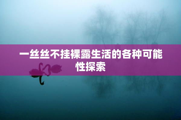 一丝丝不挂裸露生活的各种可能性探索