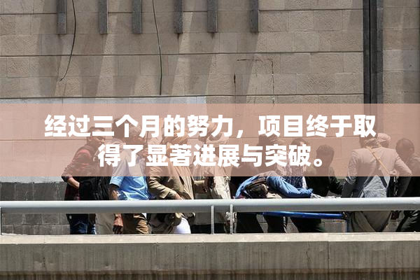 经过三个月的努力，项目终于取得了显著进展与突破。