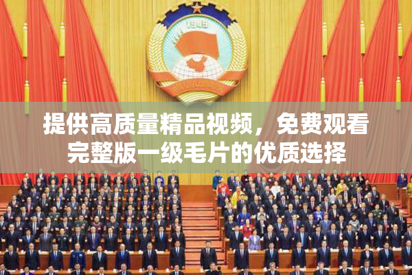 提供高质量精品视频，免费观看完整版一级毛片的优质选择