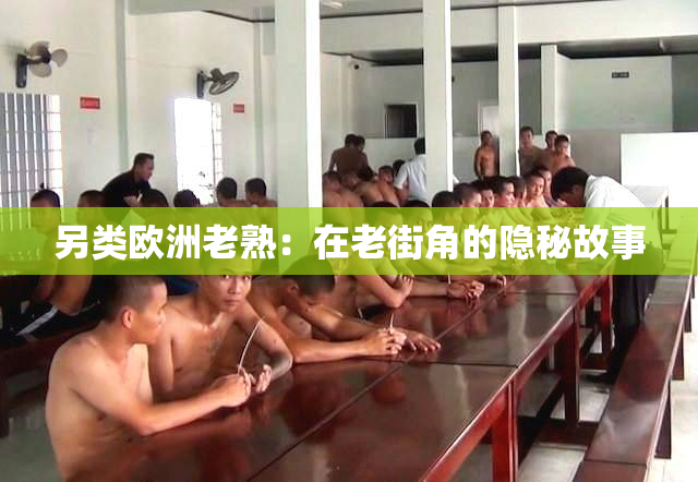 另类欧洲老熟：在老街角的隐秘故事