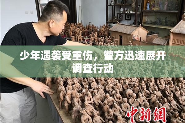 少年遇袭受重伤，警方迅速展开调查行动