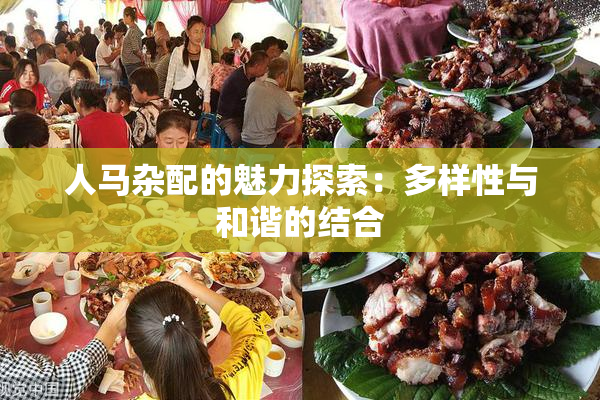 人马杂配的魅力探索：多样性与和谐的结合