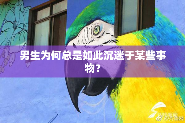 男生为何总是如此沉迷于某些事物？