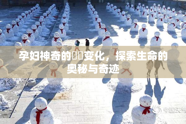 孕妇神奇的乂乄变化，探索生命的奥秘与奇迹