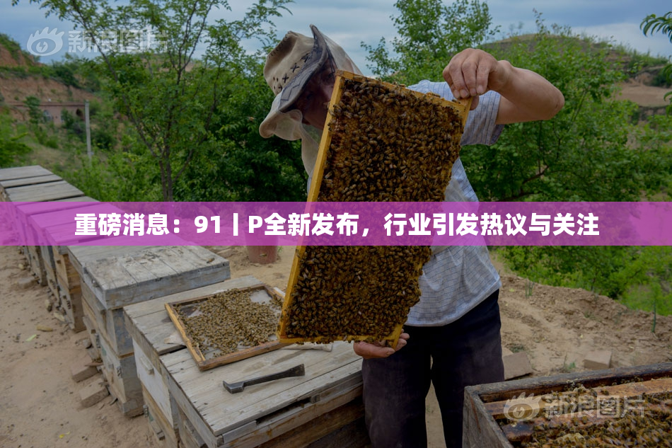 重磅消息：91丨P全新发布，行业引发热议与关注