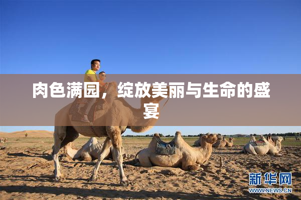 肉色满园，绽放美丽与生命的盛宴
