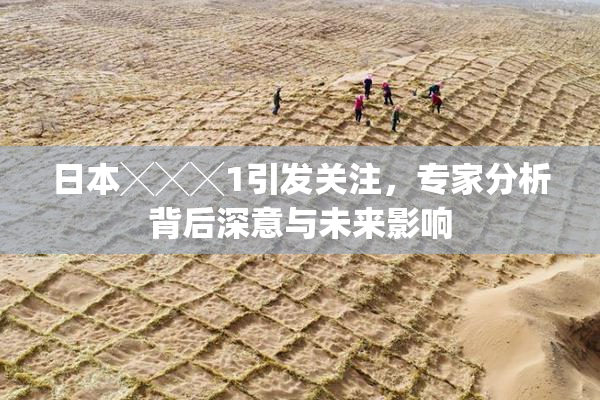 日本╳╳╳1引发关注，专家分析背后深意与未来影响