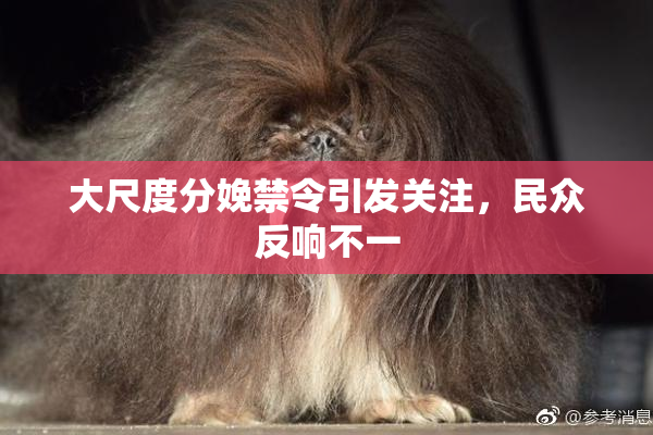 大尺度分娩禁令引发关注，民众反响不一