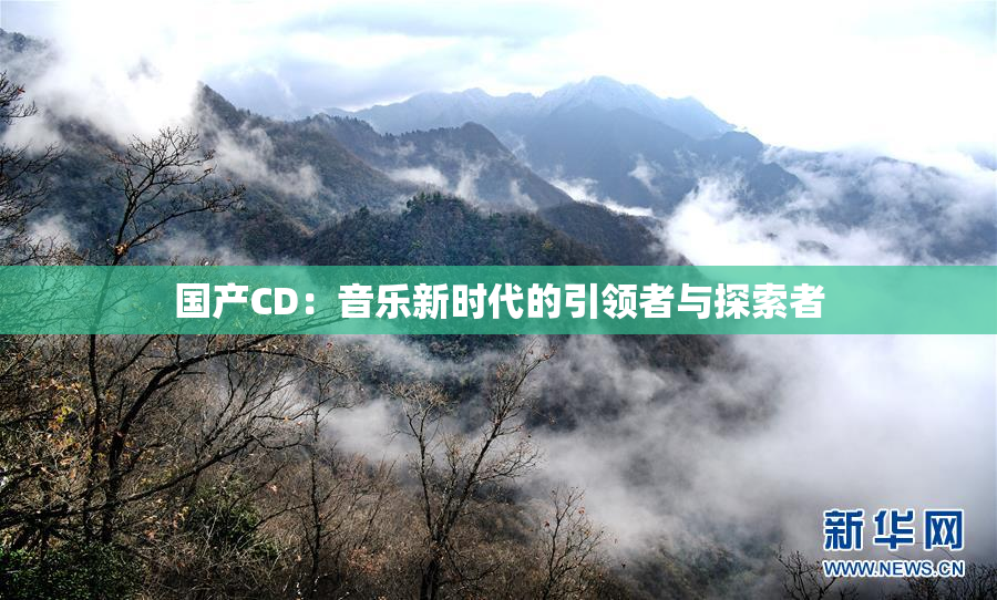 国产CD：音乐新时代的引领者与探索者
