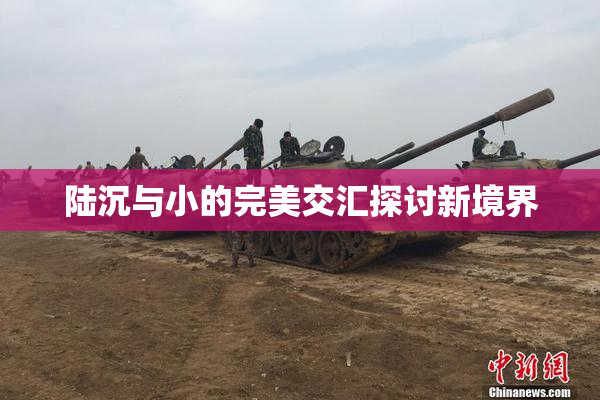 陆沉与小的完美交汇探讨新境界