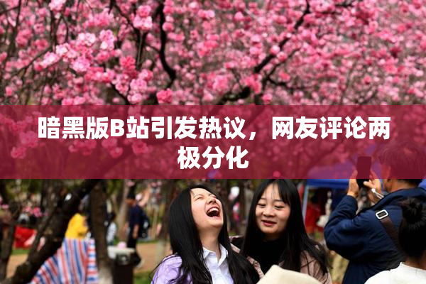暗黑版B站引发热议，网友评论两极分化