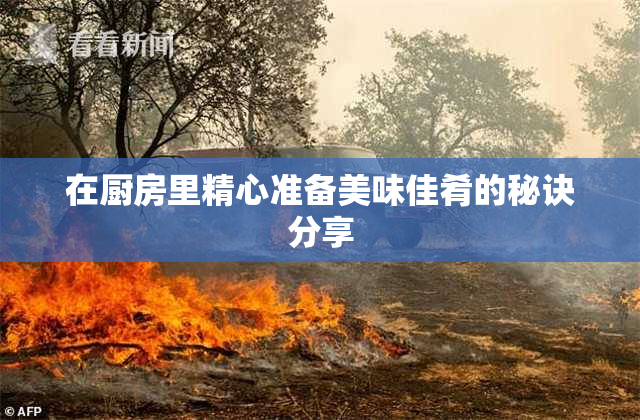 在厨房里精心准备美味佳肴的秘诀分享