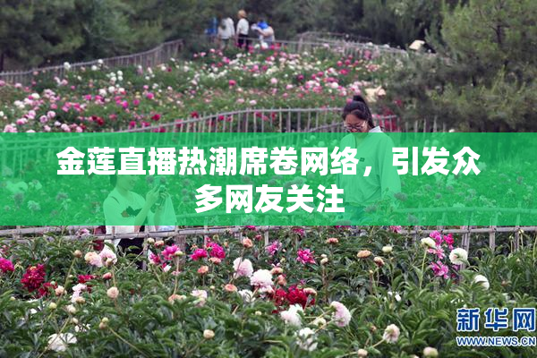 金莲直播热潮席卷网络，引发众多网友关注