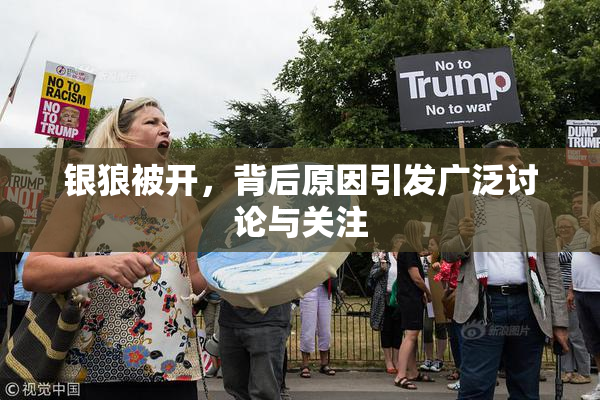 银狼被开，背后原因引发广泛讨论与关注