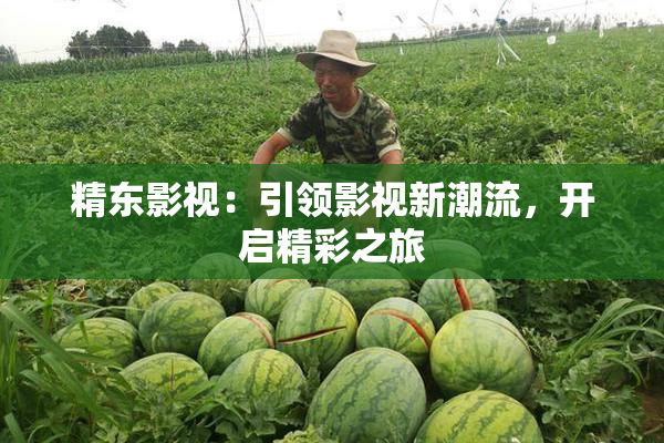 精东影视：引领影视新潮流，开启精彩之旅