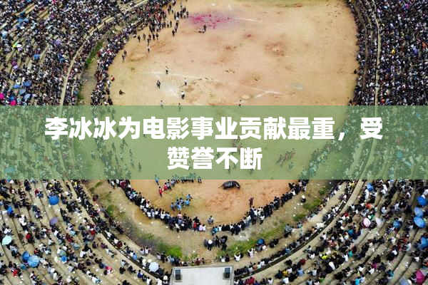 李冰冰为电影事业贡献最重，受赞誉不断