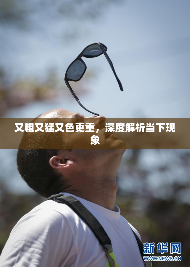 又粗又猛又色更重，深度解析当下现象