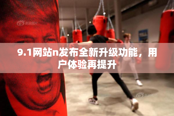 9.1网站n发布全新升级功能，用户体验再提升