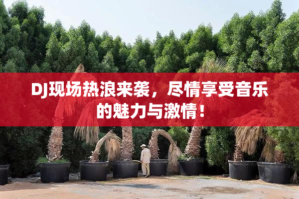 DJ现场热浪来袭，尽情享受音乐的魅力与激情！