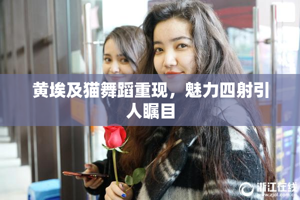 黄埃及猫舞蹈重现，魅力四射引人瞩目