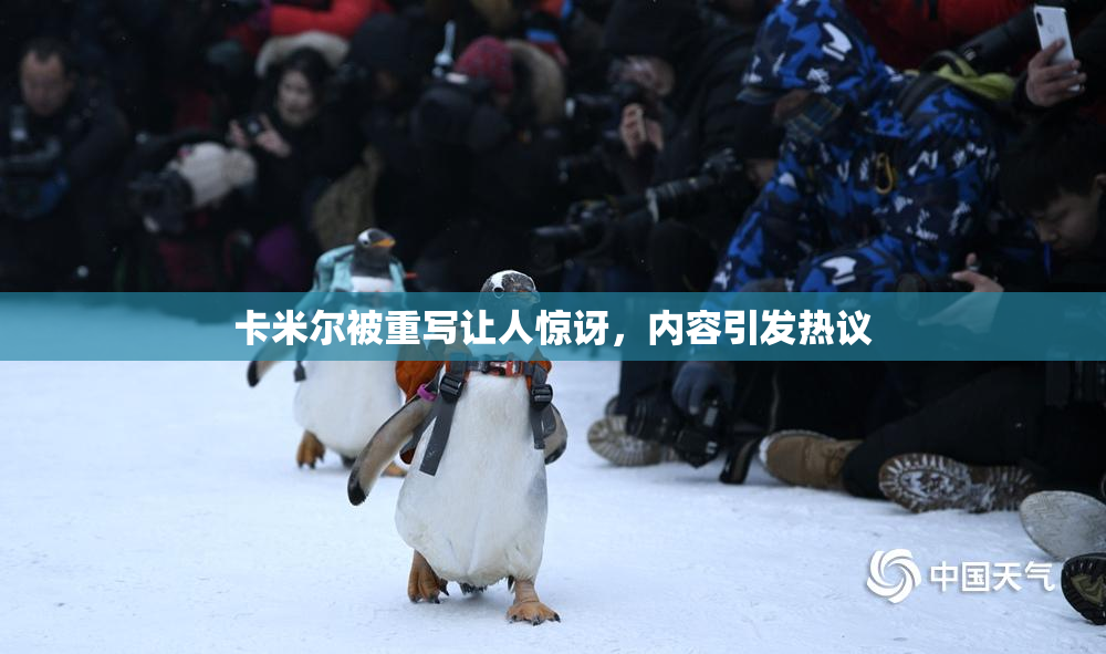 卡米尔被重写让人惊讶，内容引发热议