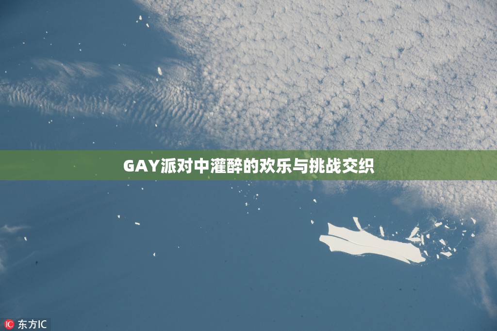 GAY派对中灌醉的欢乐与挑战交织