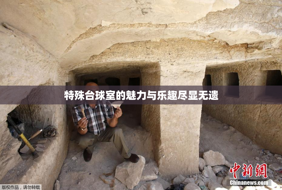 特殊台球室的魅力与乐趣尽显无遗