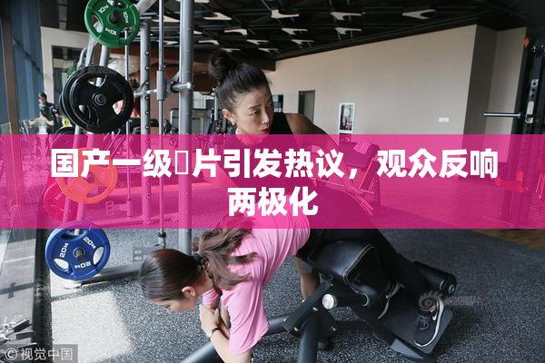 国产一级婬片引发热议，观众反响两极化