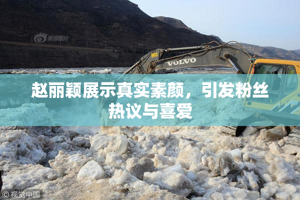 赵丽颖展示真实素颜，引发粉丝热议与喜爱