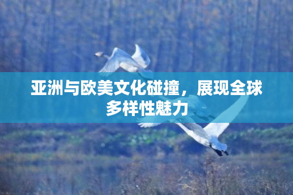 亚洲与欧美文化碰撞，展现全球多样性魅力