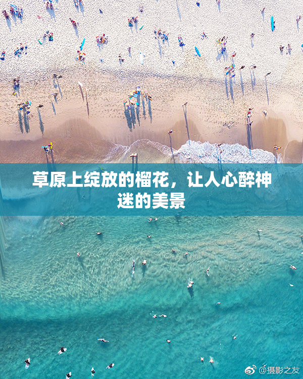 草原上绽放的榴花，让人心醉神迷的美景