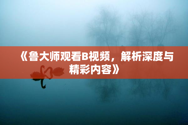 《鲁大师观看B视频，解析深度与精彩内容》