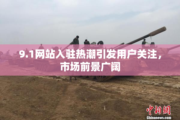 9.1网站入驻热潮引发用户关注，市场前景广阔