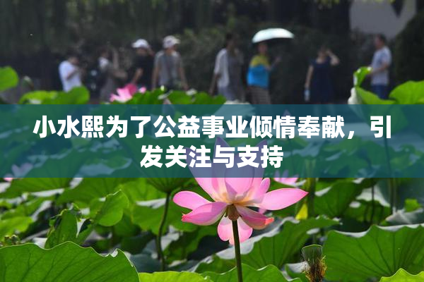 小水熙为了公益事业倾情奉献，引发关注与支持