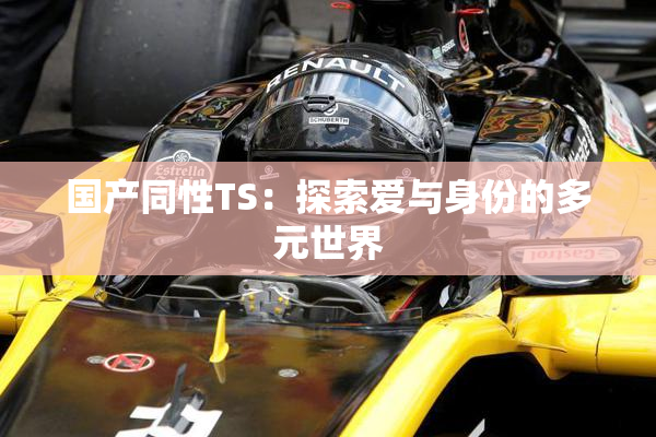国产同性TS：探索爱与身份的多元世界