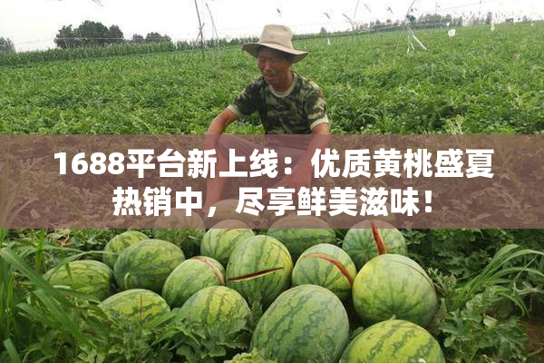1688平台新上线：优质黄桃盛夏热销中，尽享鲜美滋味！