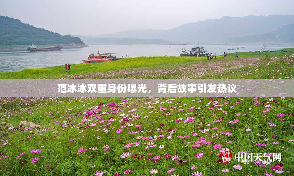 范冰冰双重身份曝光，背后故事引发热议