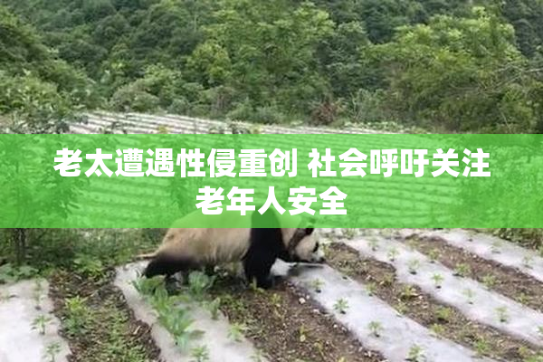 老太遭遇性侵重创 社会呼吁关注老年人安全