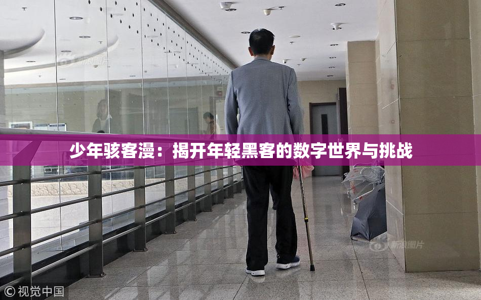 少年骇客漫：揭开年轻黑客的数字世界与挑战